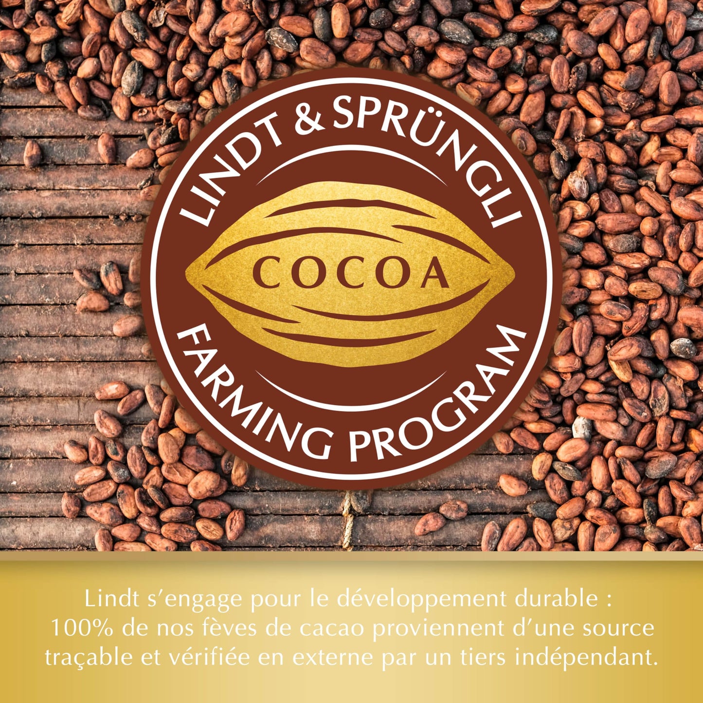 Lindt & Sprüngli Alpine Milk Extra Large Chocolate Bar - 300 Grams
